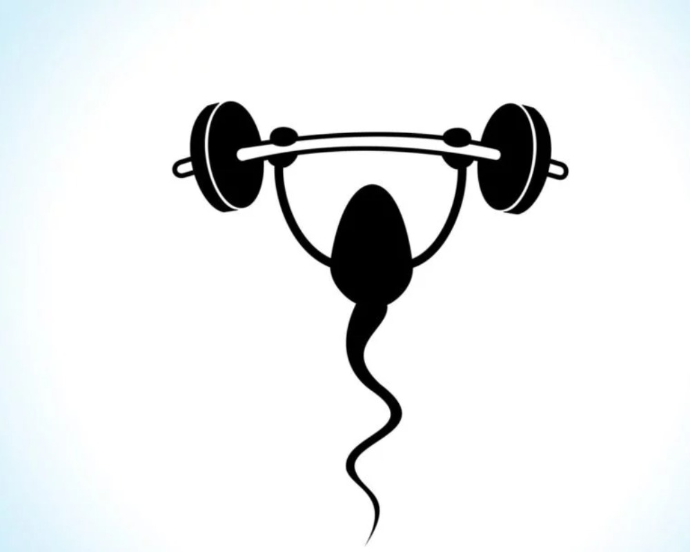 Sperm as a fertility booster