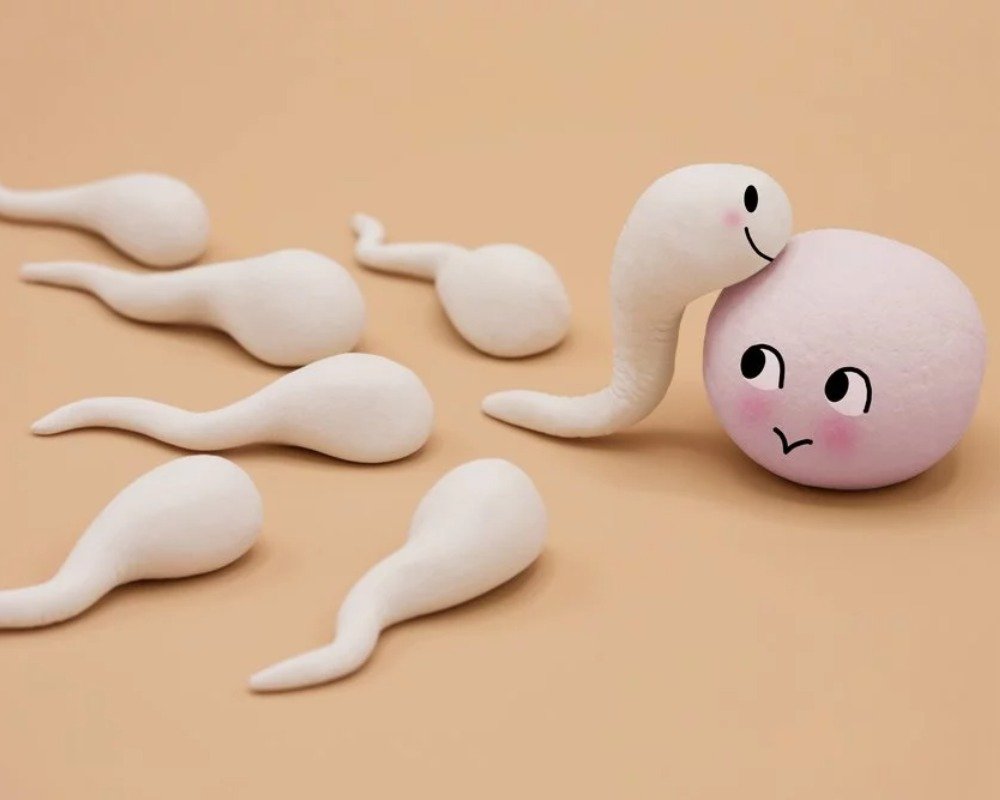 Multiple ovulation