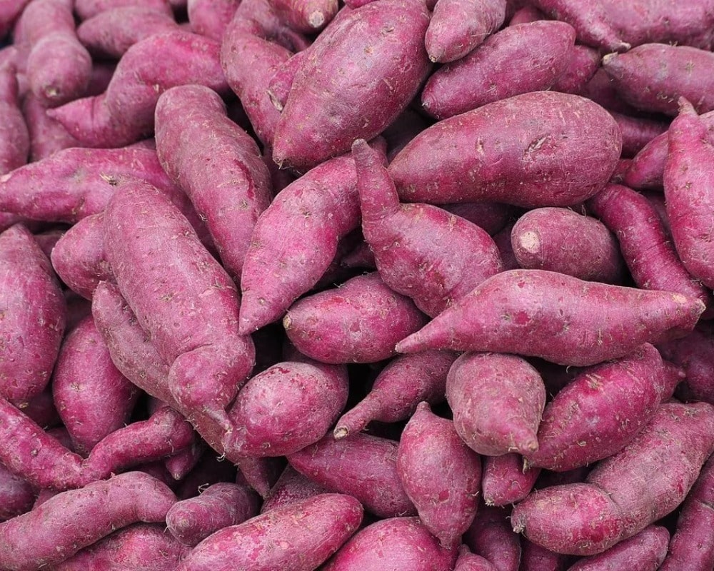 Does yams affect fertility?