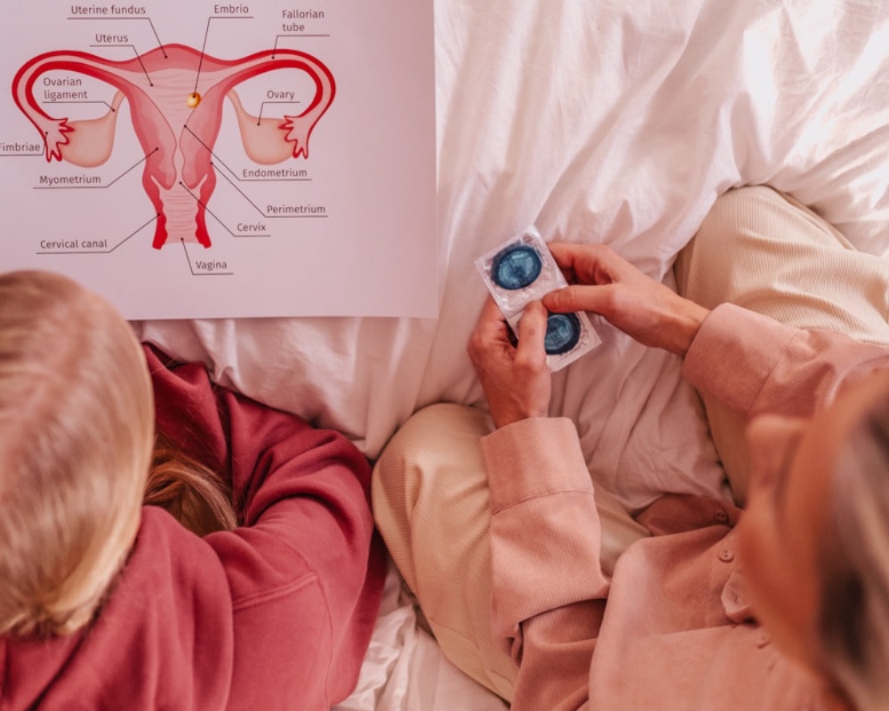 Funktion der weiblichen Geschlechtsorgane einfach erklärt