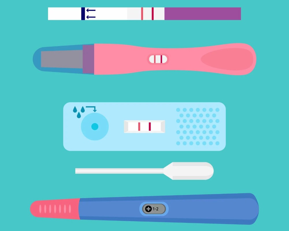 How can ovulation be determined