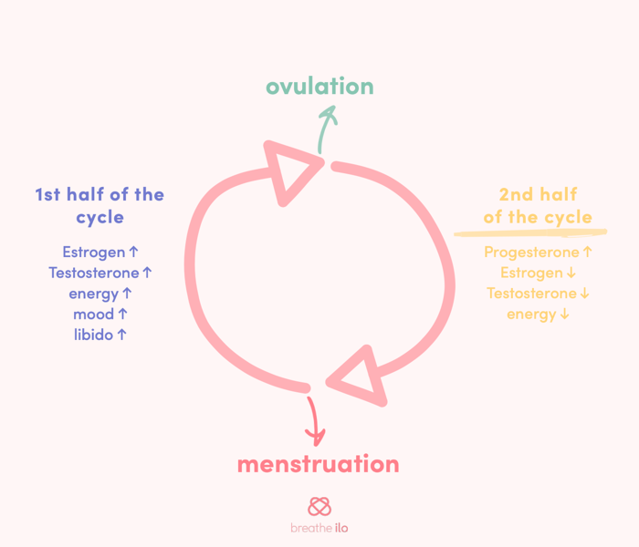 Things that happen in the 2nd half of the cycle