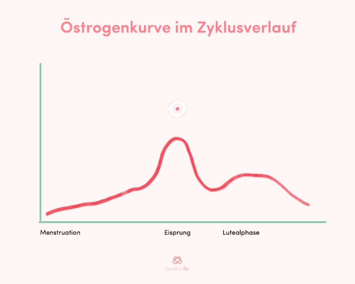 &Ouml;strogenkurve-min